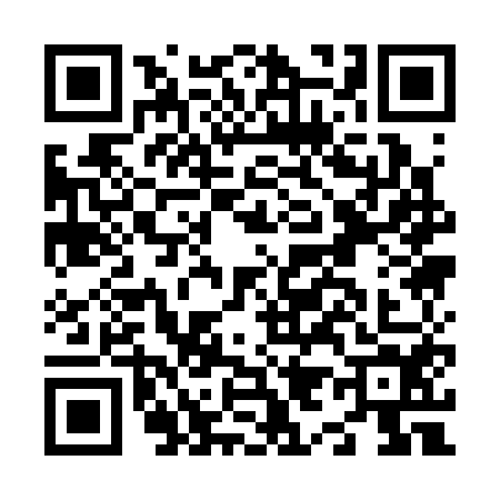 QR code for N913547