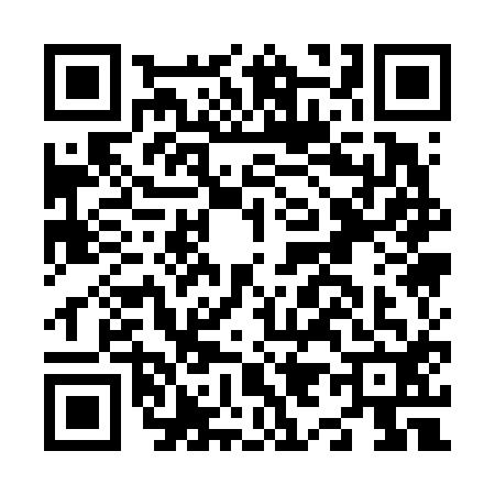 QR code for N916127