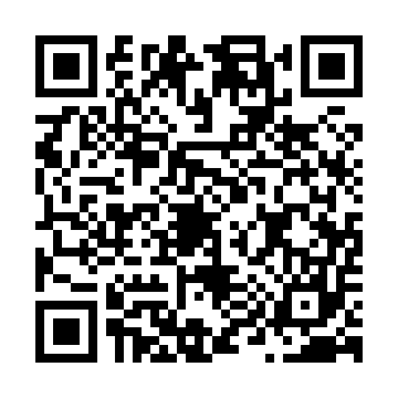 QR code for N918573