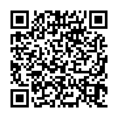 QR code for N919008