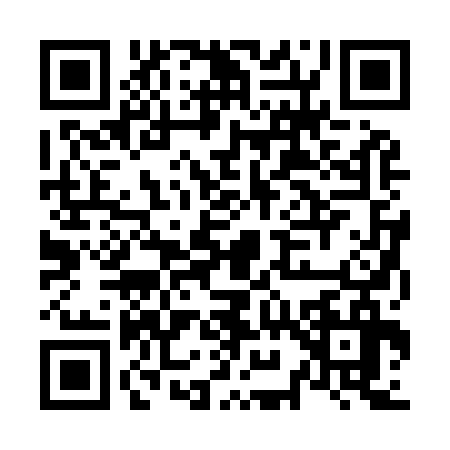 QR code for N929368