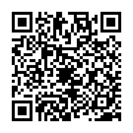 QR code for N931819