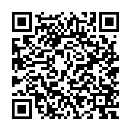QR code for N951433