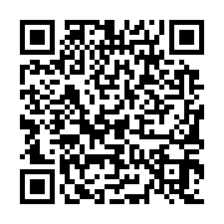 QR code for N953119