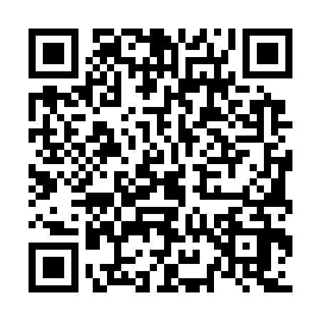 QR code for N953329