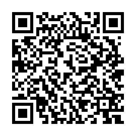 QR code for N956232