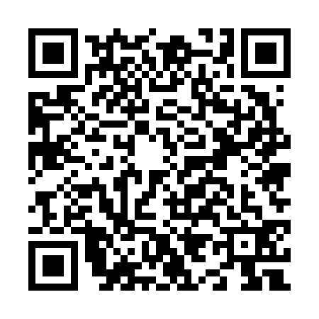 QR code for N956326