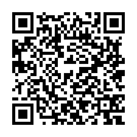 QR code for N958347