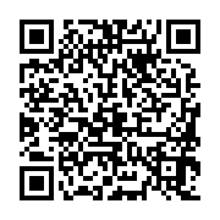 QR code for N958903
