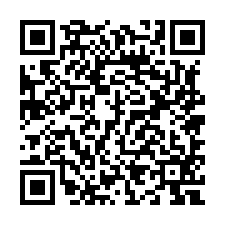 QR code for N958965