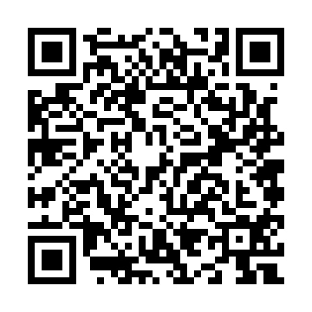 QR code for N961147