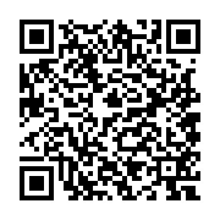 QR code for N961524
