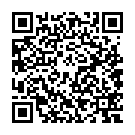 QR code for N963191