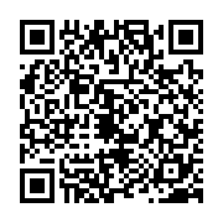 QR code for N963751