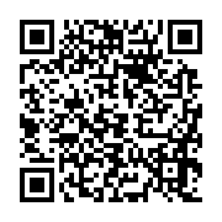 QR code for N963768