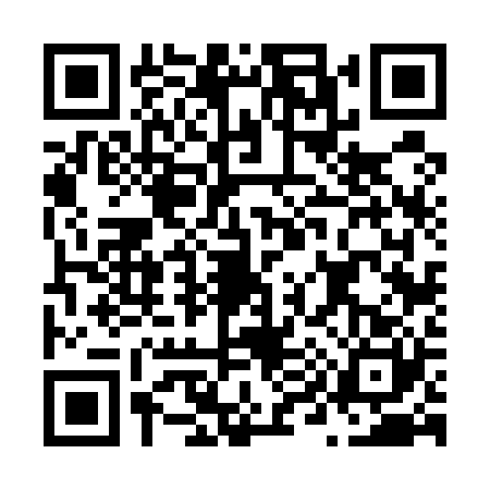 QR code for N965203