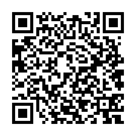 QR code for N966309