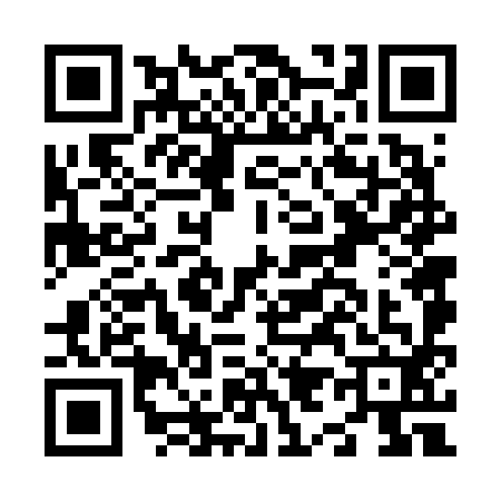 QR code for N966929