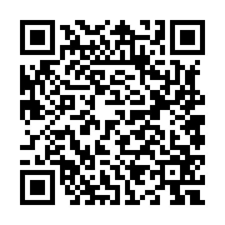 QR code for N968665