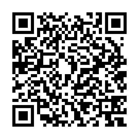 QR code for N972382