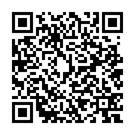 QR code for N973338