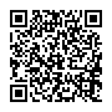 QR code for N979579