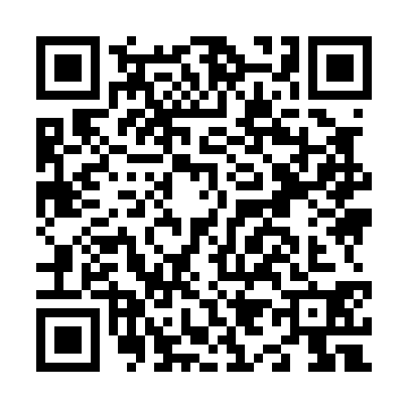 QR code for N990308