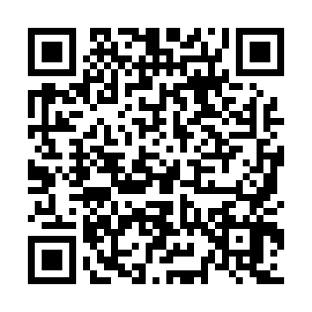 QR code for N990478