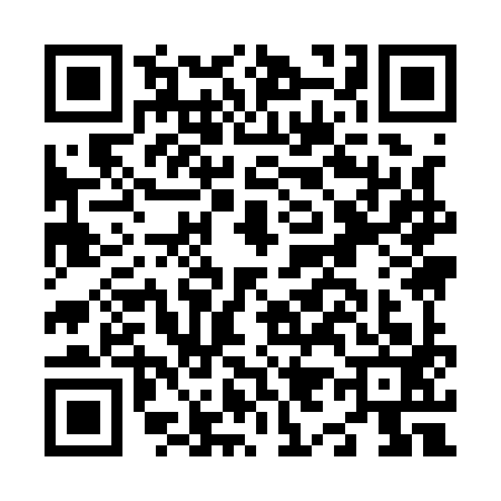 QR code for N991934