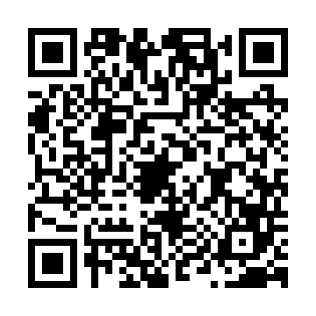 QR code for N992461