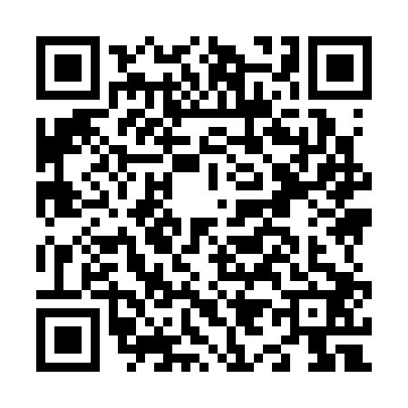 QR code for N993027