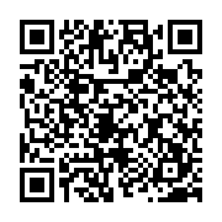 QR code for N993267