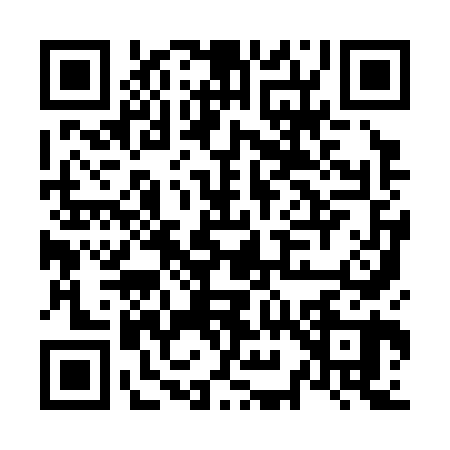 QR code for N993606