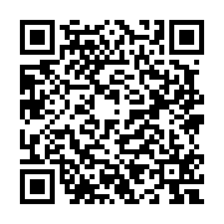 QR code for N994154