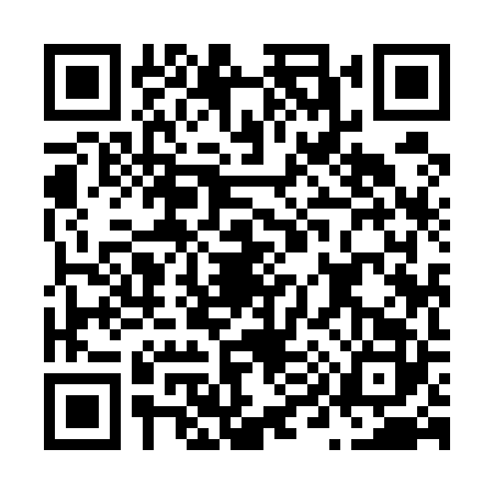 QR code for N995226