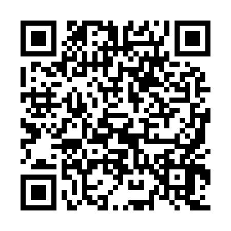 QR code for N999461