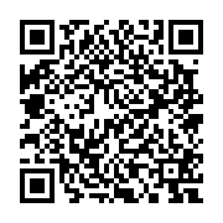 QR code for S010017
