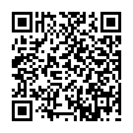 QR code for S013386