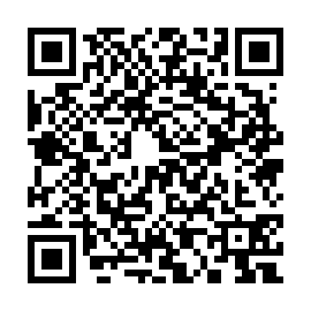 QR code for S016308