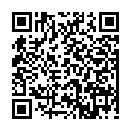 QR code for S028991