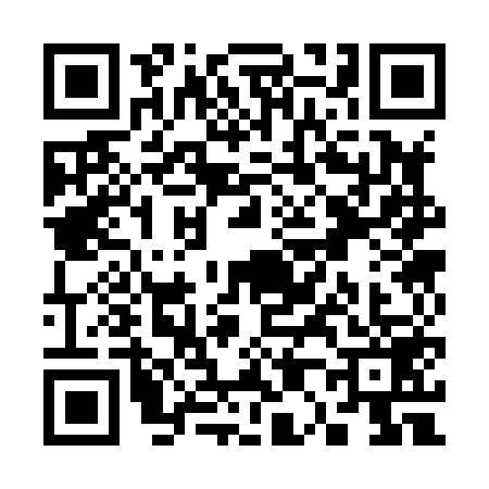 QR code for S038597
