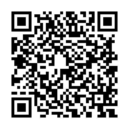 QR code for S038858