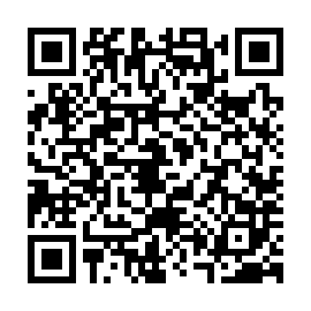 QR code for S063825