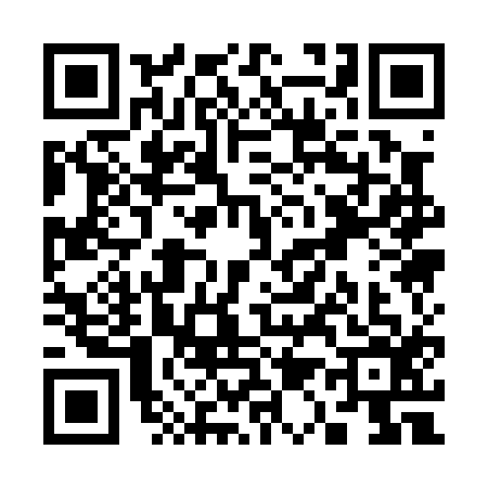 QR code for S110161