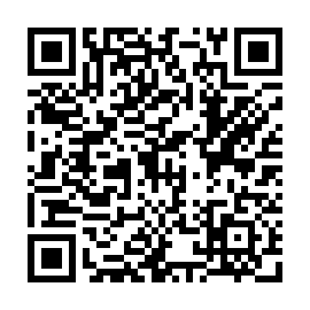 QR code for S121317