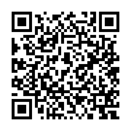 QR code for S125155