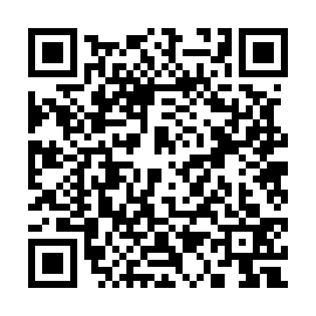 QR code for S125336