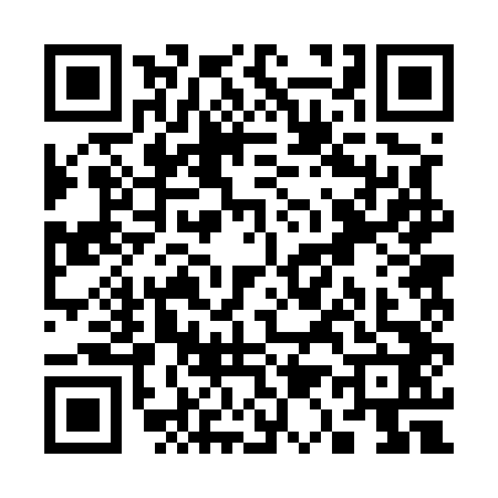 QR code for S125424