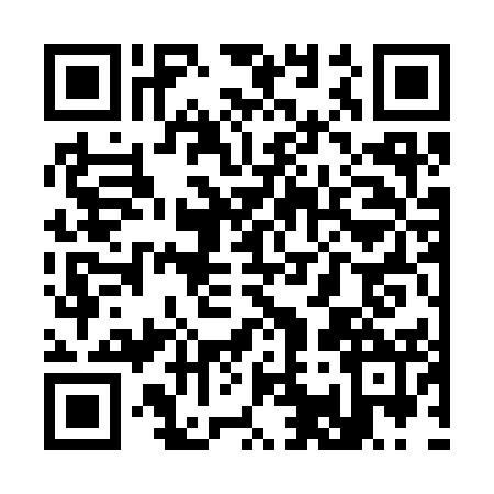 QR code for S133524