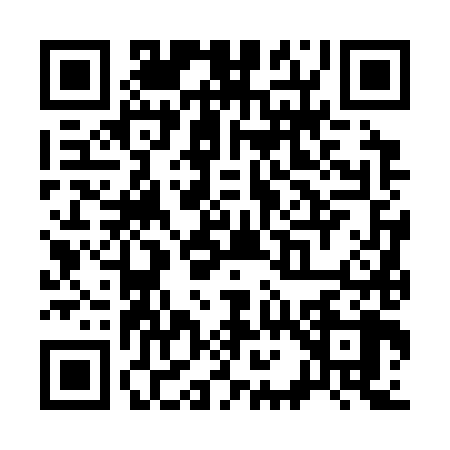 QR code for S163884